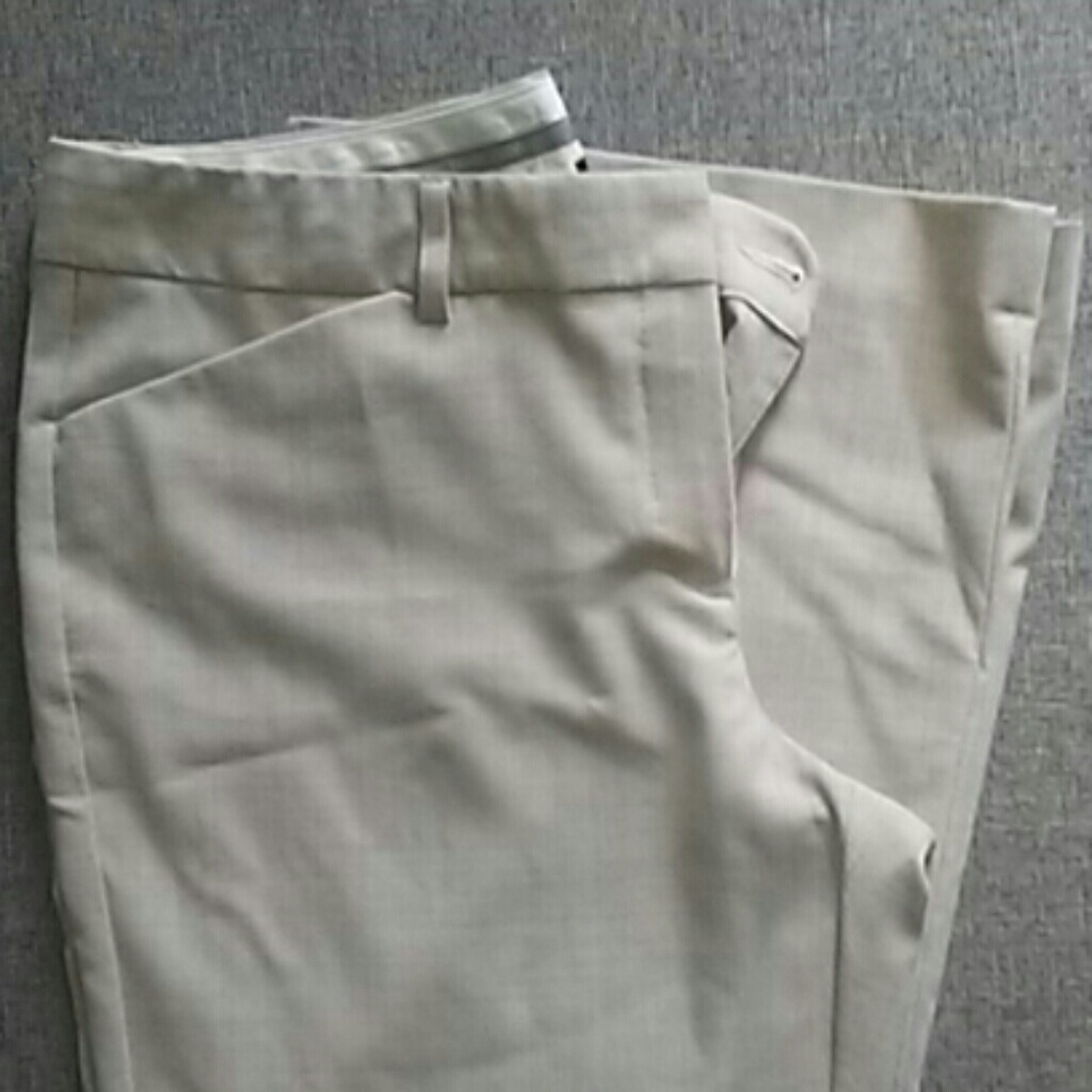 Express Pants